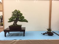 123D05D8-782B-4DE0-88A7-E904AF8BD85A.jpeg