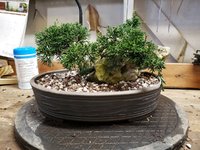 2021-03-27 17.01.07.jpg