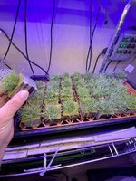 8706E296-7FB7-4227-BD8E-C42063EB3B50.jpeg 8706E296-7FB7-4227-BD8E-C42063EB3B50.jpeg