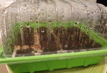 01_Propagator.jpg