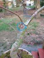 IMG_20210407_190855031~2.jpg