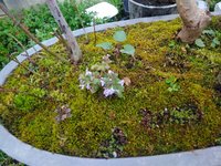 IMG_20210409_162547.jpg