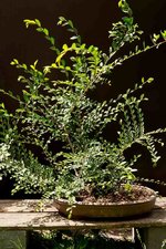 20200711-R14A3880-284.jpg