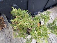 IMG_20210411_190531.jpg