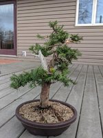IMG_20210412_181312.jpg