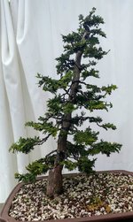 20210423_190444~2.jpg 20210423_190444~2.jpg