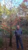 Cypress Yamadori Height.jpg
