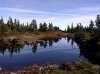 Second lg pond early pm.jpg Second lg pond early pm.jpg