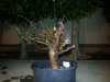 20131108_183541.jpg