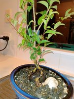 IMG20210404205533.jpg