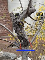 IMG_0298.JPG IMG_0298.JPG