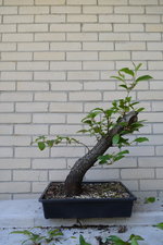 DSC_2698.JPG DSC_2698.JPG