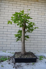 DSC_2786.JPG DSC_2786.JPG