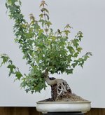 833E8672-C575-422F-BD02-91554C7E7DF8.jpeg
