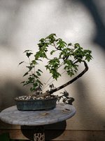 20210507_175320.jpg