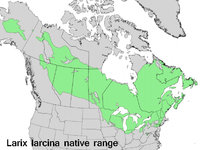 Tamarack range.JPG