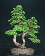 Father& Son    Mar 18.JPG