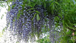 DSC00897.JPG
