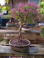 L MK 2021_0517 SQ color.jpg