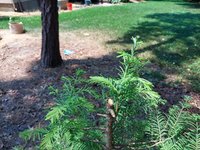 20210526_123751.jpg 20210526_123751.jpg