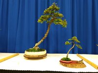 IMG_20210528_110958.jpg