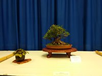 IMG_20210528_113628.jpg