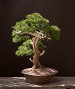 20210403-R14A5303-183.jpg 20210403-R14A5303-183.jpg