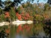 Fall-2011-Bluff2.jpg