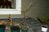 DSC05844.jpg