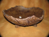 IMG_4887.JPG