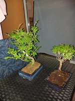 20210618_223259.jpg 20210618_223259.jpg