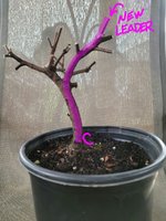 20210718_155040.jpg 20210718_155040.jpg