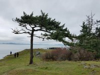 20191110_112212.jpg 20191110_112212.jpg