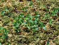 709F9211-608F-4D4A-B8F3-8E4ED9B044B3.jpeg 709F9211-608F-4D4A-B8F3-8E4ED9B044B3.jpeg