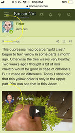 BD70A5F0-8CB6-45C6-93CF-A1A5280B8392.jpeg BD70A5F0-8CB6-45C6-93CF-A1A5280B8392.jpeg