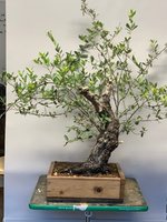 August 2021.jpg August 2021.jpg