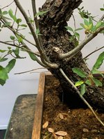 August 2021 3.jpg August 2021 3.jpg