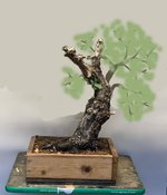 August 2021 virtual.jpg August 2021 virtual.jpg