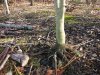 20131221_102954.jpg