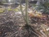20131221_123938.jpg