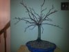 20131223_184030.jpg