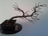 20131229_095225.jpg