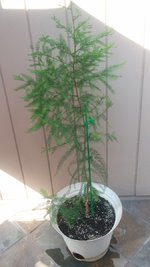 thumbnail_20210811_164531.jpg