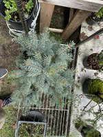 IMG_1169.jpeg IMG_1169.jpeg