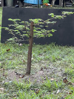 IMG_1208.jpeg IMG_1208.jpeg