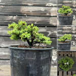 IMG_0126.jpg IMG_0126.jpg