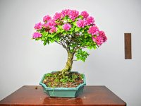 IMG_20210828_080752_232.jpg