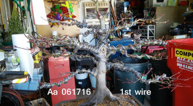 Aa 061716 1st wire.JPG