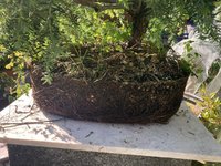 B77F5189-3EA3-438C-857A-C2E5C0AD524B.jpeg B77F5189-3EA3-438C-857A-C2E5C0AD524B.jpeg