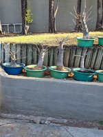 20210911_155658.jpg